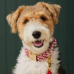 Online The Foggy Dog Red Gingham Dog Collar
