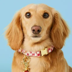 Online The Foggy Dog Red Gingham Dog Collar