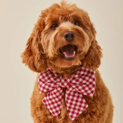 Hot The Foggy Dog Red Gingham Lady Bow Dog Collar