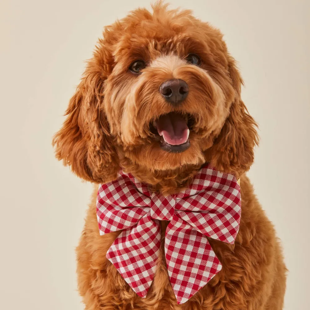 Hot The Foggy Dog Red Gingham Lady Bow Dog Collar