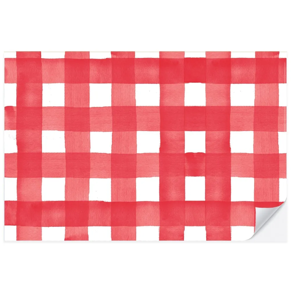 Clearance Cami Monet Red Gingham Paper Placemats