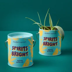 Outlet Modern Sprout Seasonal Complimentary Colors Grow Kits