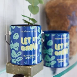 Outlet Modern Sprout Seasonal Complimentary Colors Grow Kits