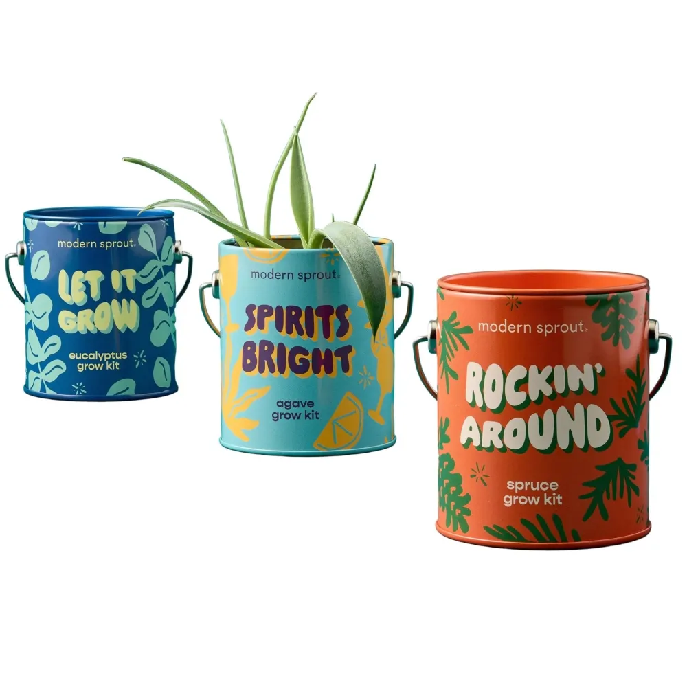 Outlet Modern Sprout Seasonal Complimentary Colors Grow Kits