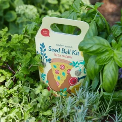 New Modern Sprout Seed Ball Kit