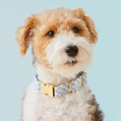 The Foggy Dog Sky Blue Gingham Dog Collar