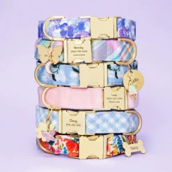 The Foggy Dog Sky Blue Gingham Dog Collar