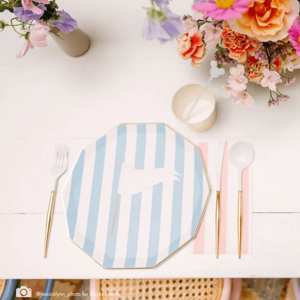 Bonjour Fete Sky Blue Signature Cabana Stripe Plates