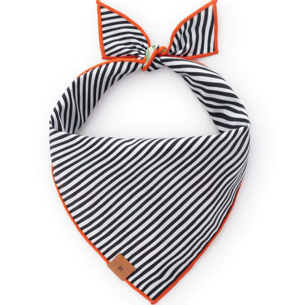 Outlet The Foggy Dog Spellbound Reversible Dog Bandana