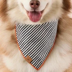 Outlet The Foggy Dog Spellbound Reversible Dog Bandana
