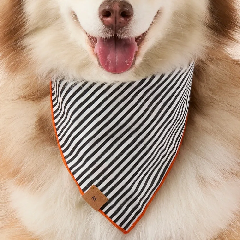 Outlet The Foggy Dog Spellbound Reversible Dog Bandana