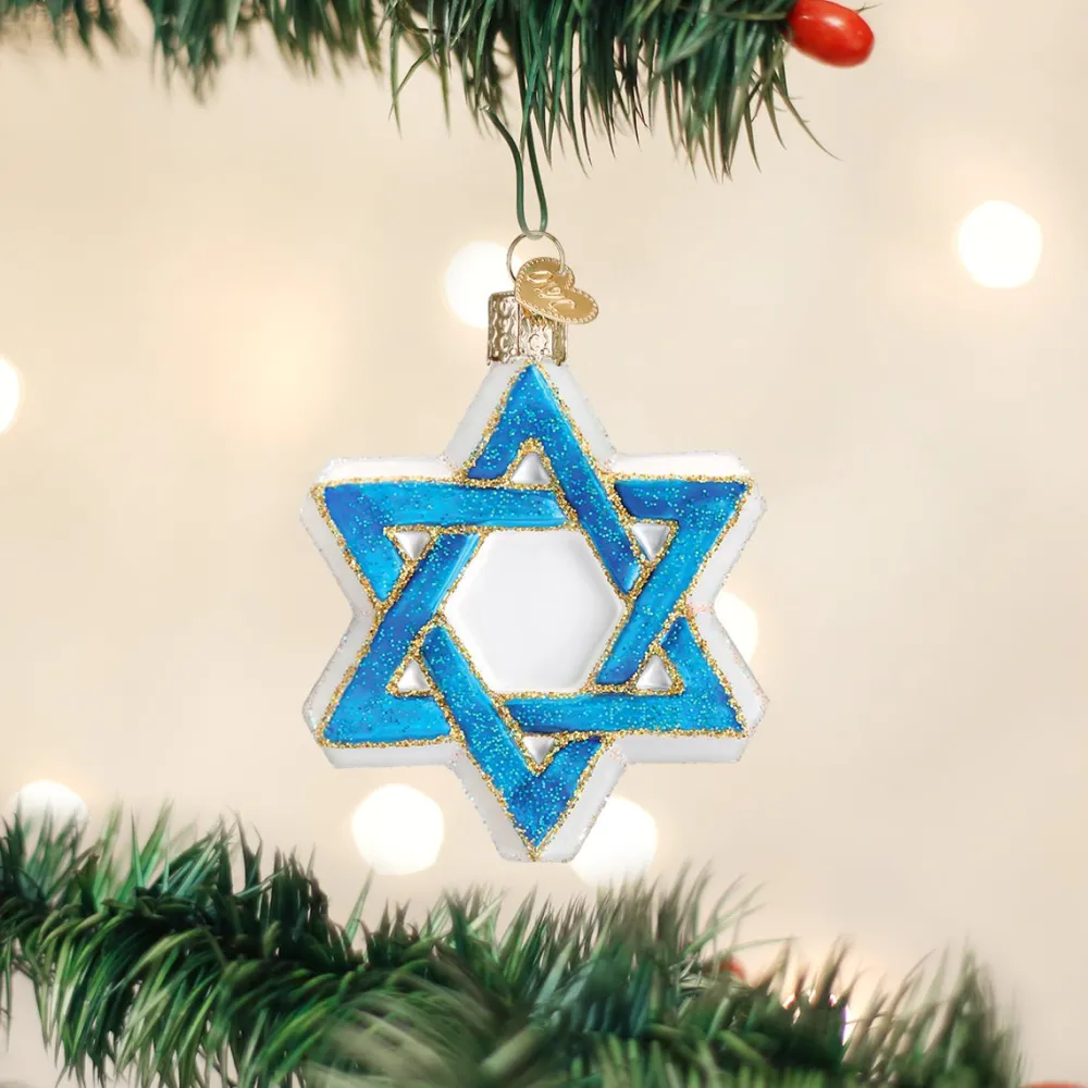 Best Old World Christmas Star Of David Ornament
