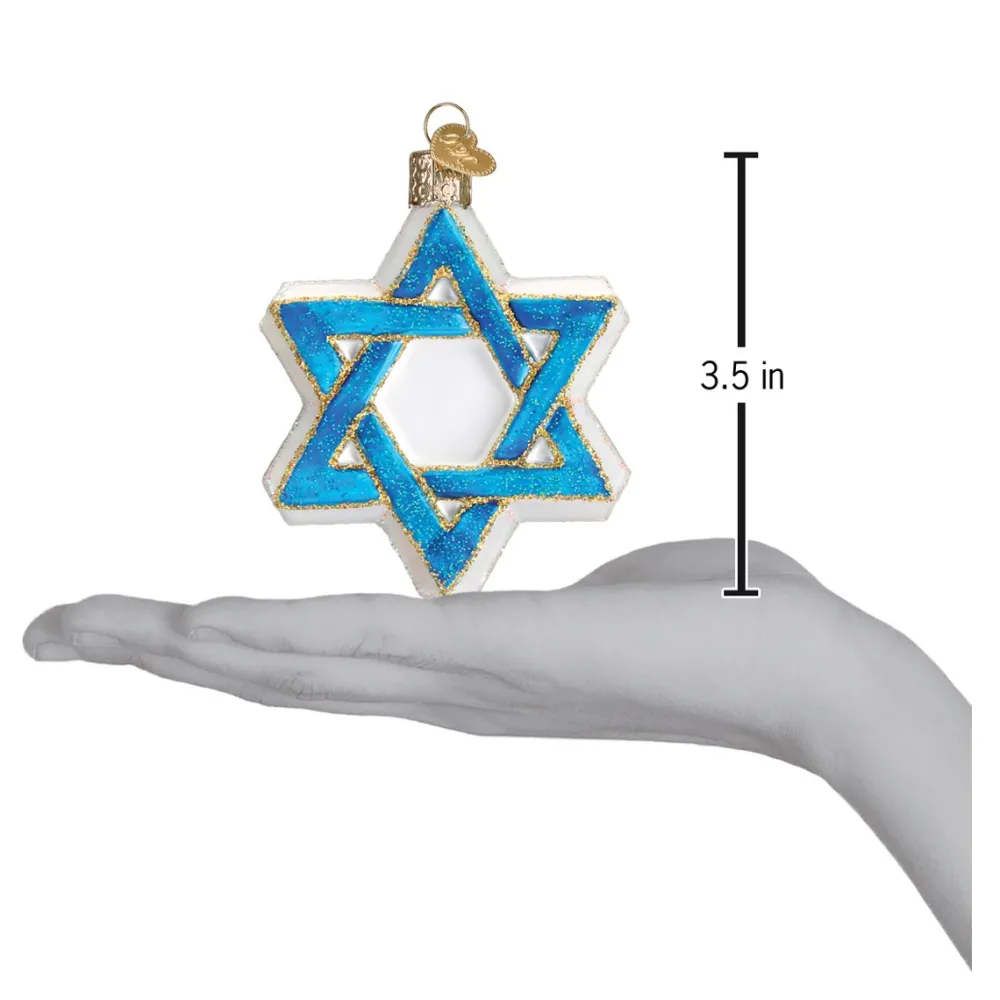 Best Old World Christmas Star Of David Ornament