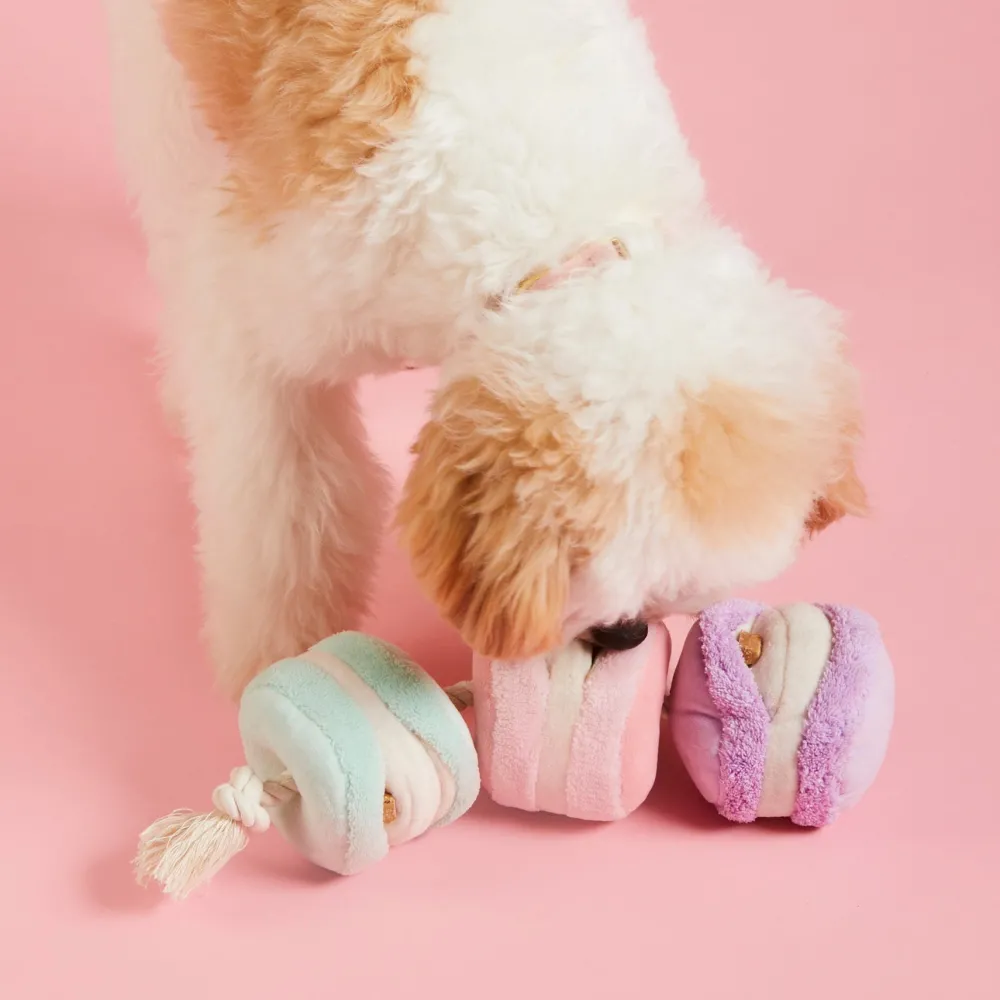 The Foggy Dog Sweet Treats Interactive Dog Toy Set