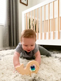Bannor Toys Whale Wooden Baby Rattle