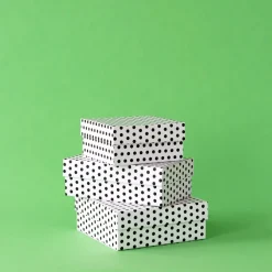 Best Bonjour Fete White & Black Polka Dot Display Box Risers
