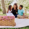 Best Picnic Time Family of Brands White & Red Gingham Farmhouse Picnic Basket