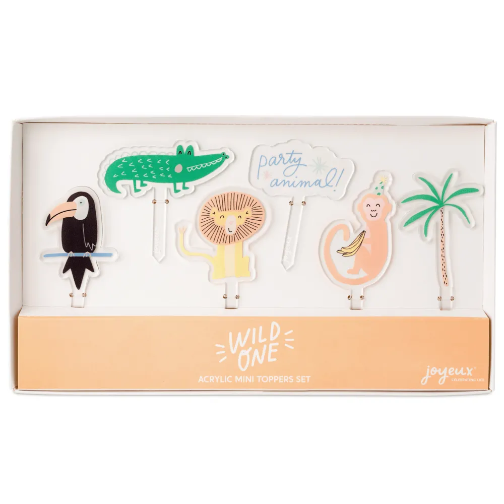 Online Joyeux Company Wild One Acrylic Cake Toppers