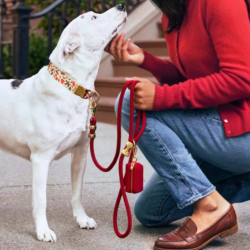 Hot The Foggy Dog Wine Marine Rope Dog Leash