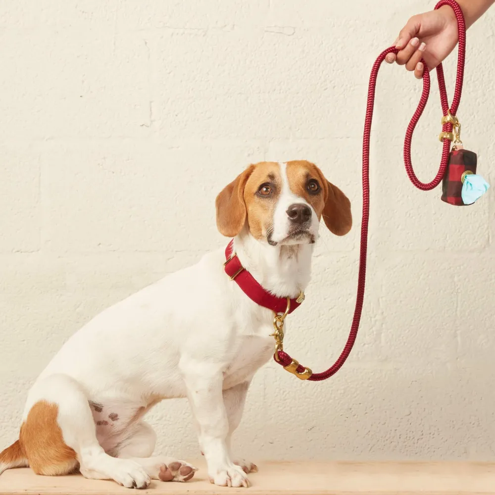 Hot The Foggy Dog Wine Marine Rope Dog Leash